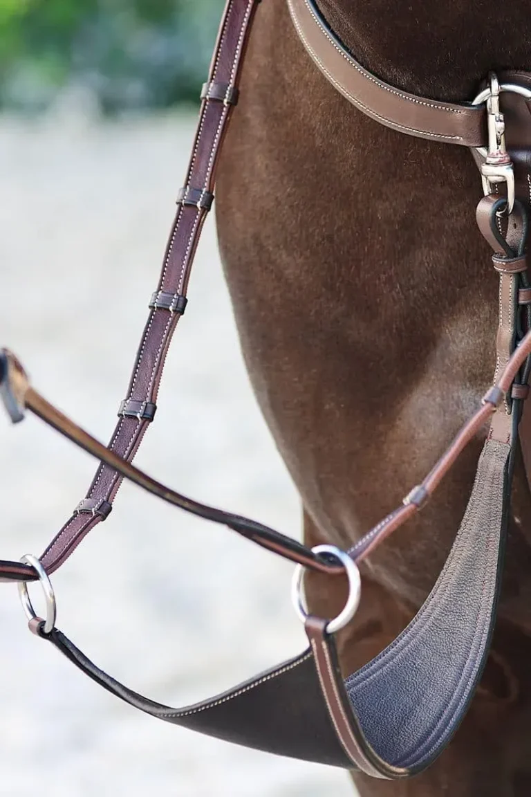 BIB-martingale-pleine-arion-hst (1)