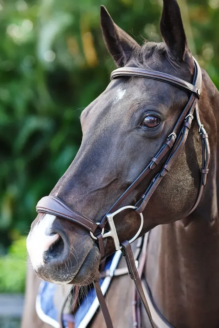 BR4DN-Bridon-muserolle-allemande (1)