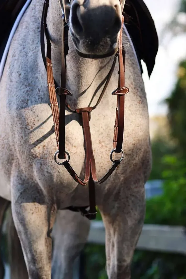 M2R-martingale-arion-hst-4-800x1 (1)