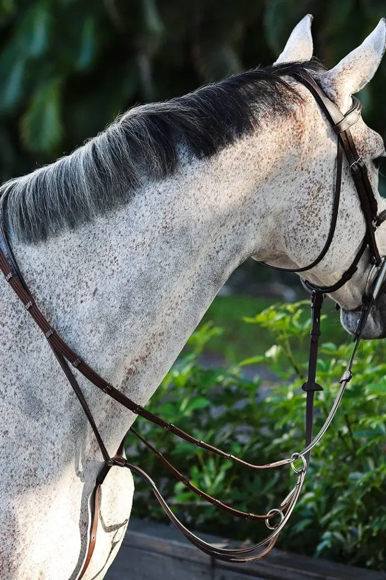 R3WRS-renes-tissus-arretoirs-ari (1)