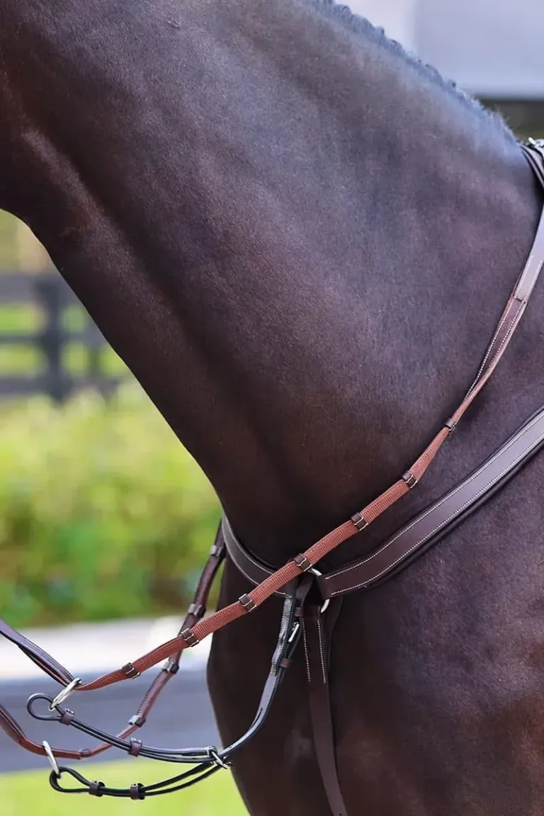 R5H-Renes-1-2-cuir-1-2-caoutchou (1)