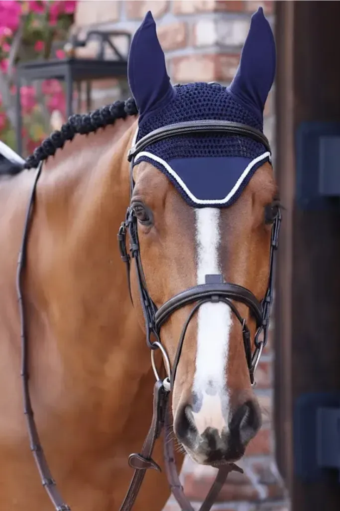 Untitled-design-2026-02-23T12132