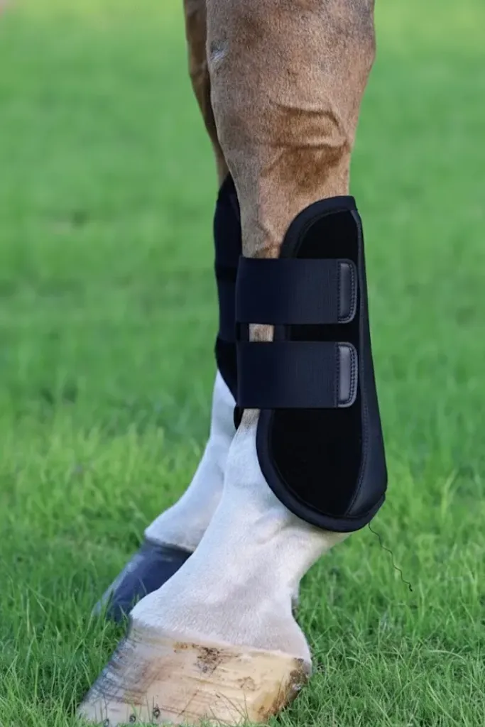 Untitled-design-2026-02-23T12272