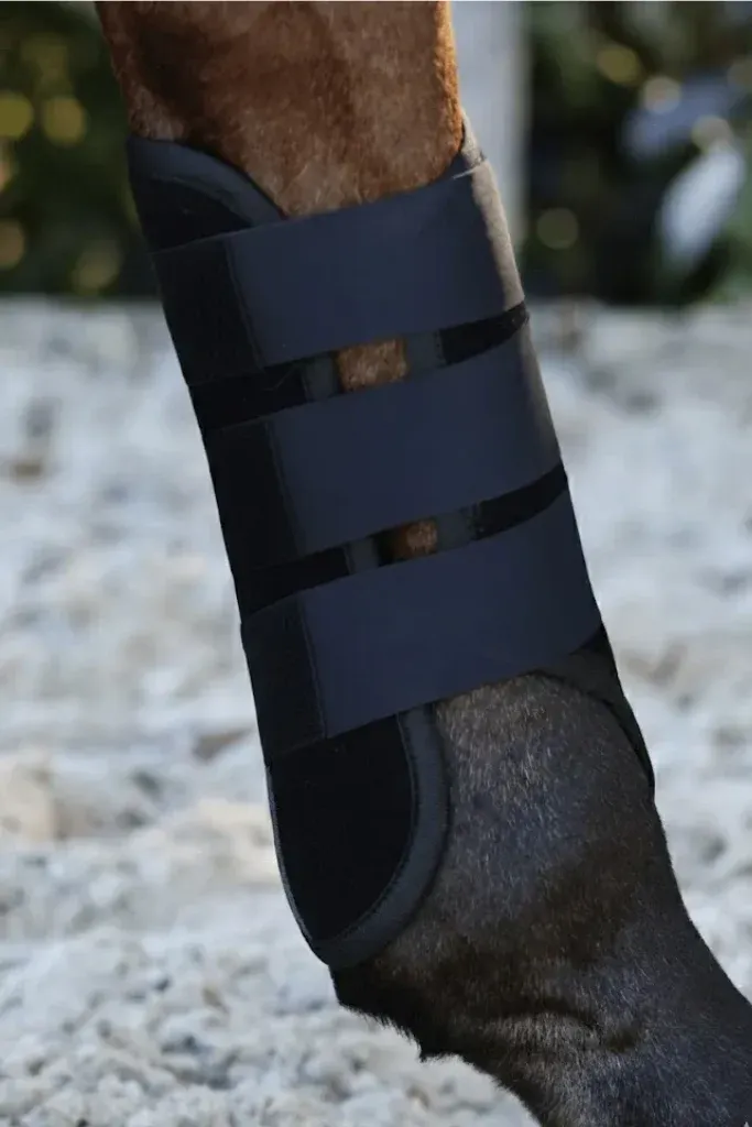 Untitled-design-2026-02-23T12293