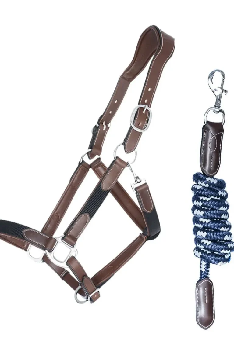 Untitled design - 2026-03-17T164815